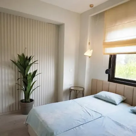 Anemi 50m From The Sea