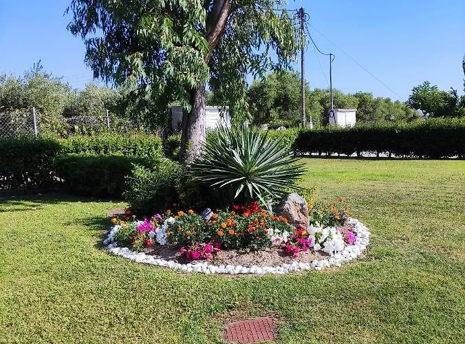 Anemi 50m From The Sea