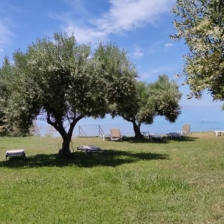 Anemi 50m From The Sea Nea Skioni